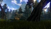 GOG image